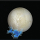 Data from the plume spotted by the Hubble Space Telescope in 2012